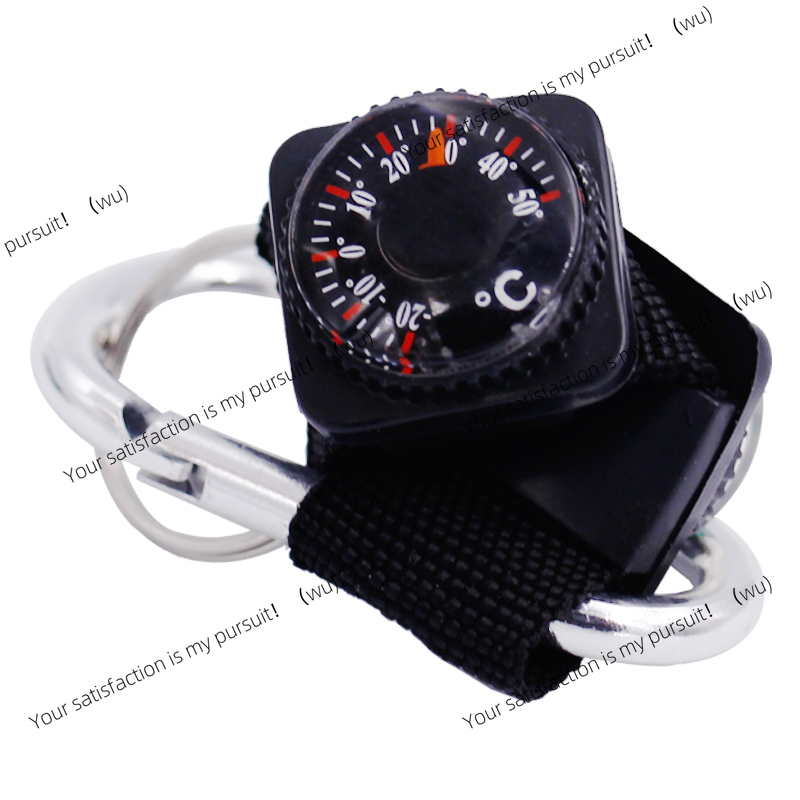 Mini Keychain Multifunctional  - Compass Keychain Mini 리뷰 및 가격