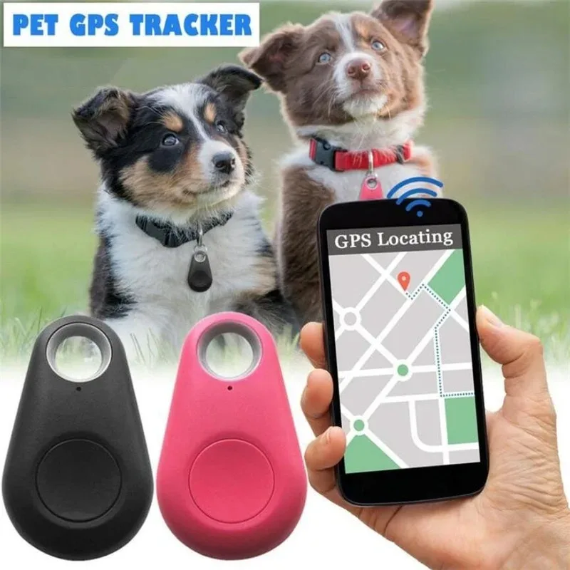 Mini Fashion Smart Dog Pets Bl - Compass Keychain Mini 리뷰 및 가격