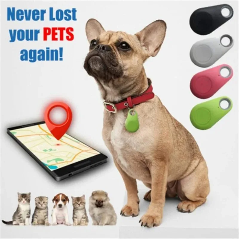 Mini Fashion Smart Dog Pets Bl - Compass Keychain Mini 리뷰 및 가격
