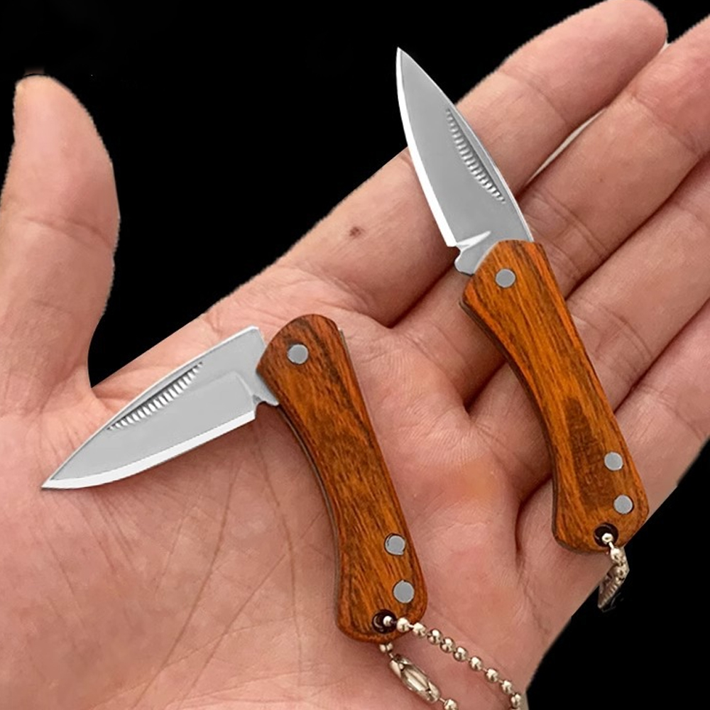 Small Keychain Pocket Knife Ev - Edc (Every Day Carry 리뷰 및 가격