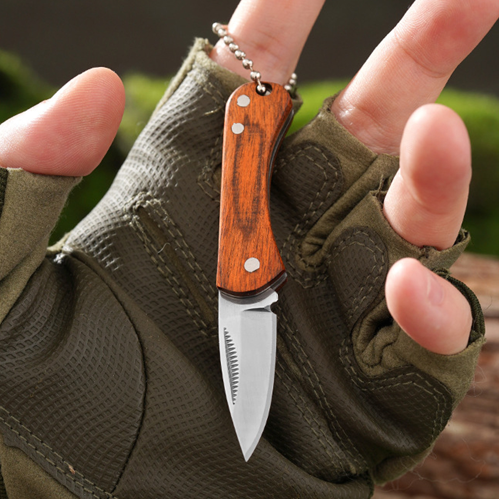 Small Keychain Pocket Knife Ev - Edc (Every Day Carry 리뷰 및 가격