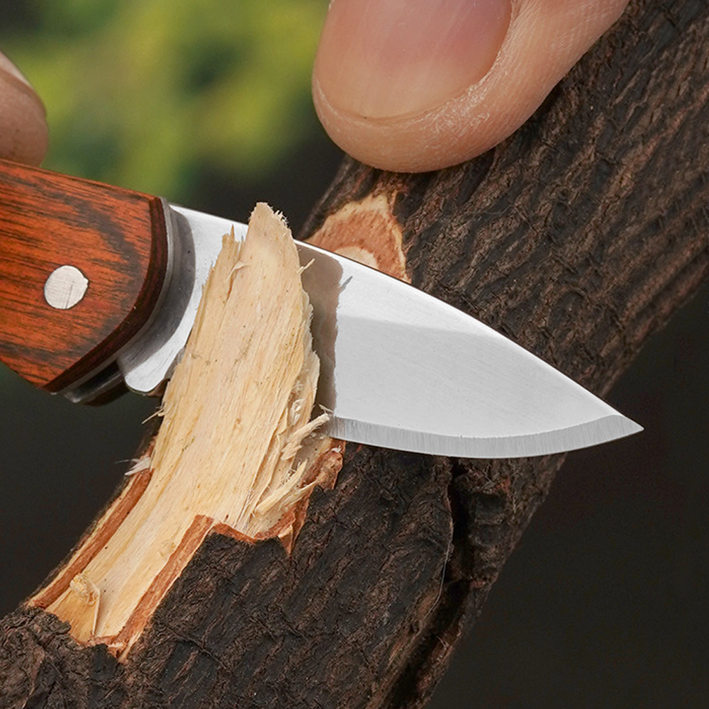 Small Keychain Pocket Knife Ev - Edc (Every Day Carry 리뷰 및 가격